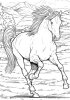 big-book-of-horses-to-color-1.jpg