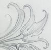 Acanthus style scroll drawing progression-Sam Alfano-E2.jpg