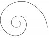 nautilus-scrolll.jpg